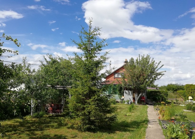 Фотообои окно в природу