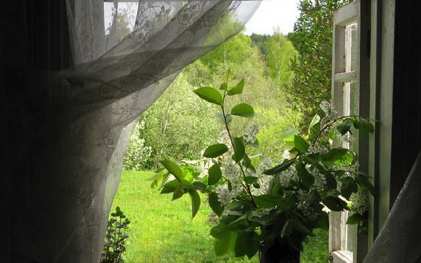 Самарская область, Ставропольский р-н, СНТ зелёная даль, 16-я ул.