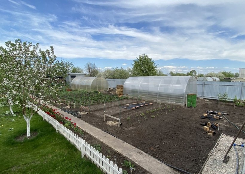 Панорама дачи зеленая даль