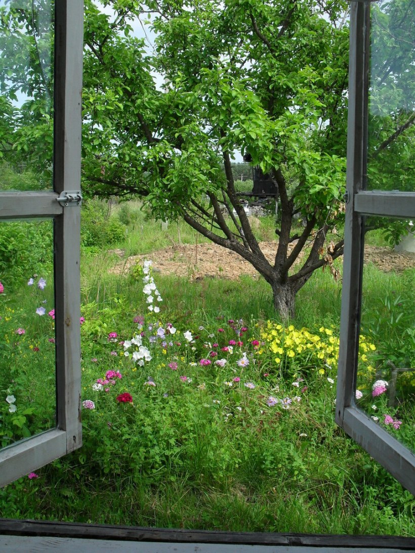 Вид из окна на сад