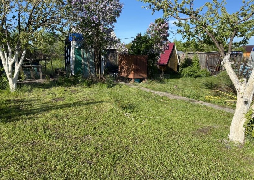 Фотообои окно в сад