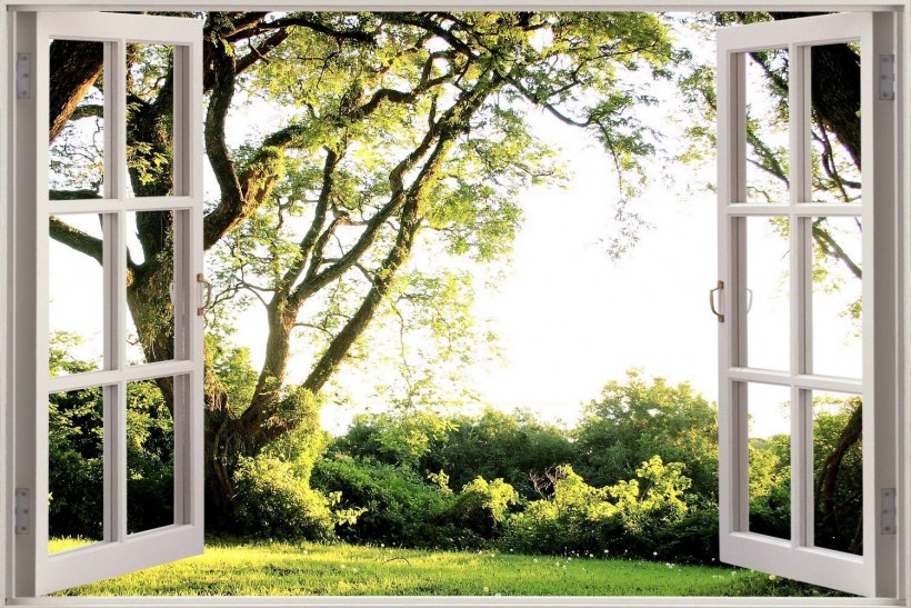 Зелёная даль фото