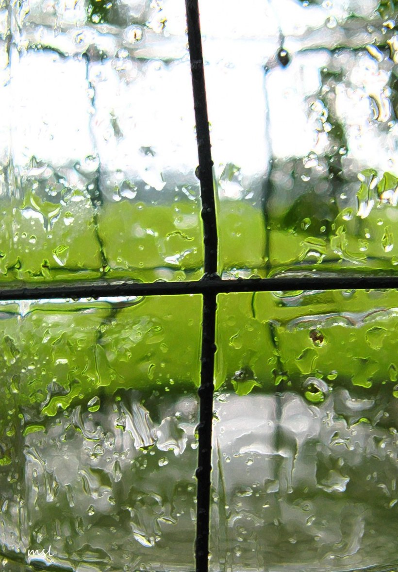 Окно в природу