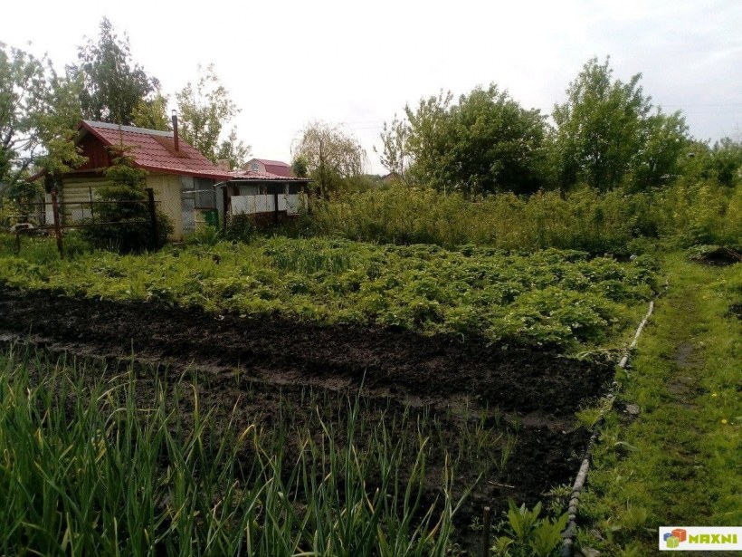 Фотообои окно в сад