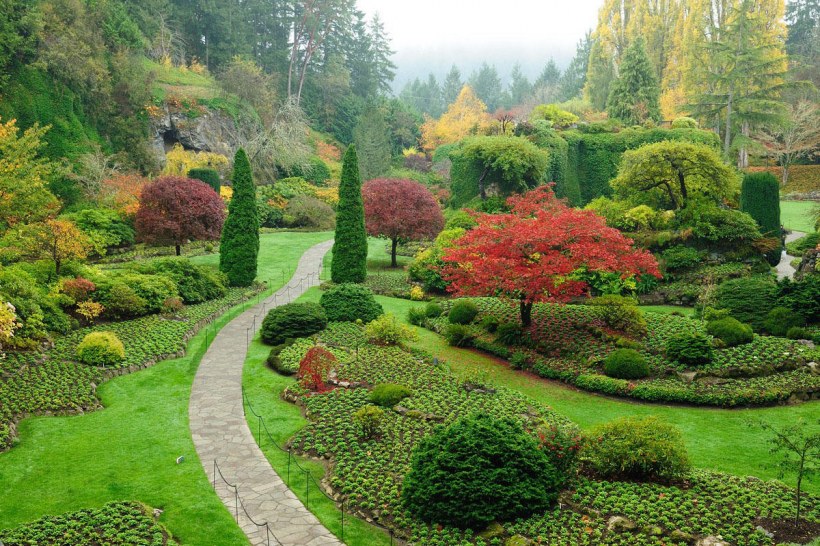 Древесно-кустарниковая растительность Японии