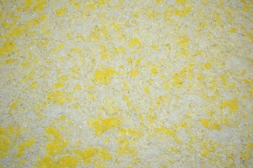 Обои Силк Пластер