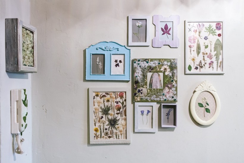 Гербарий в рамке на стену