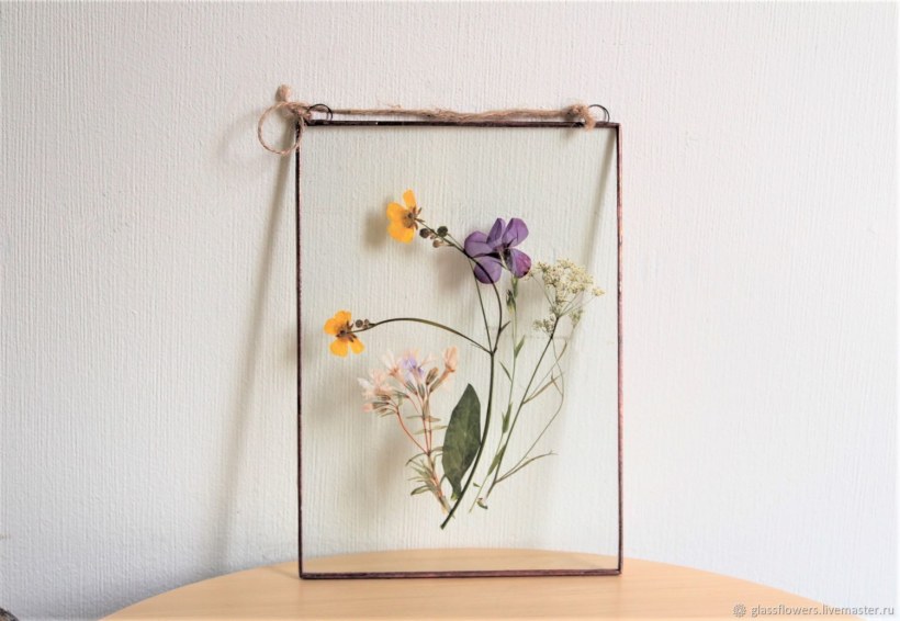 Гербарий под стеклом