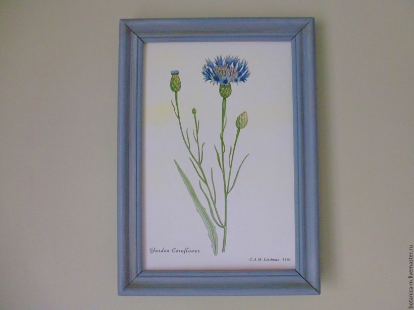 Ботаническое панно