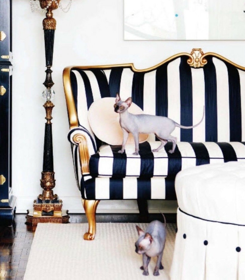 Диван в полоску в интерьере