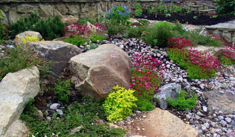 Рокарий собачья могилка