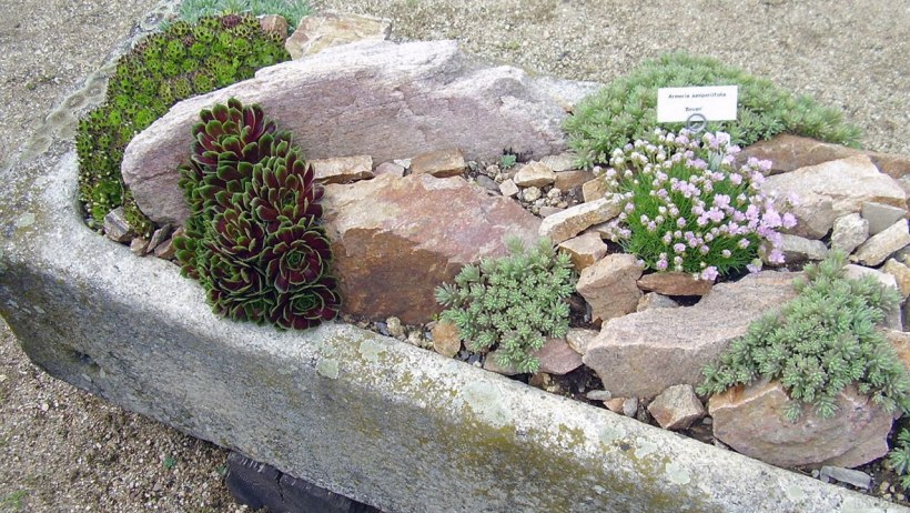 Композиция из камней в саду