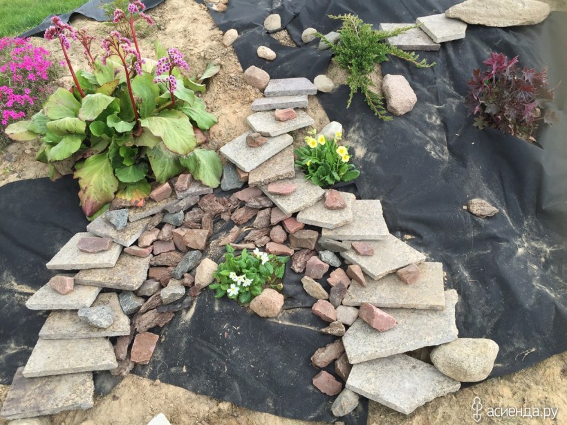 Двухуровневый рокарий