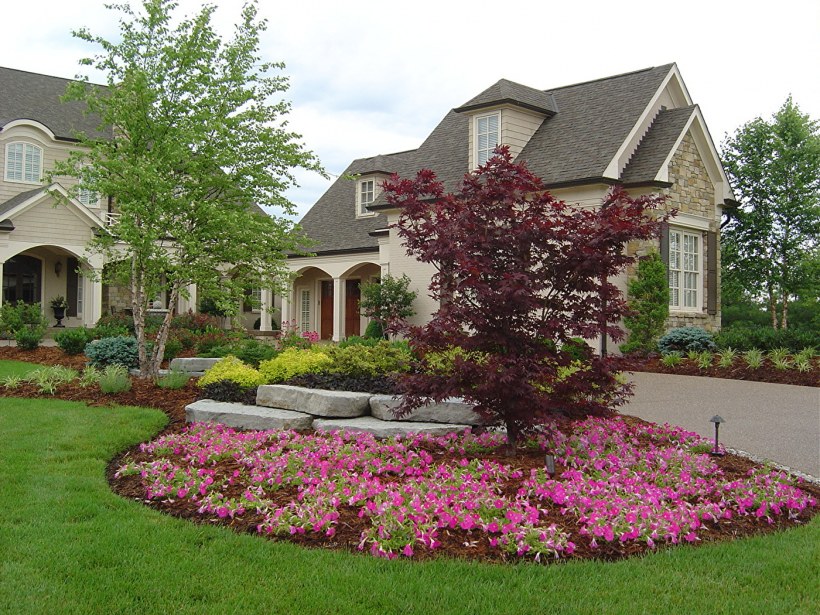 Красивая клумба перед домом