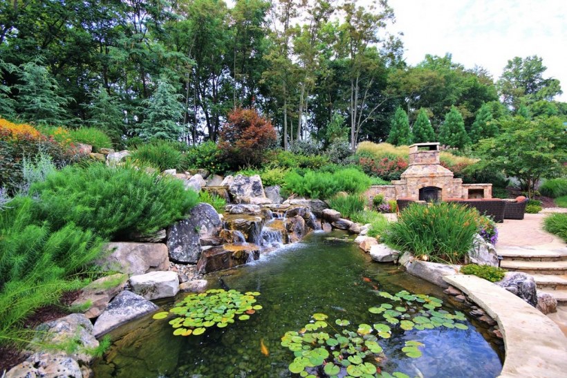 Пруд в современном саду