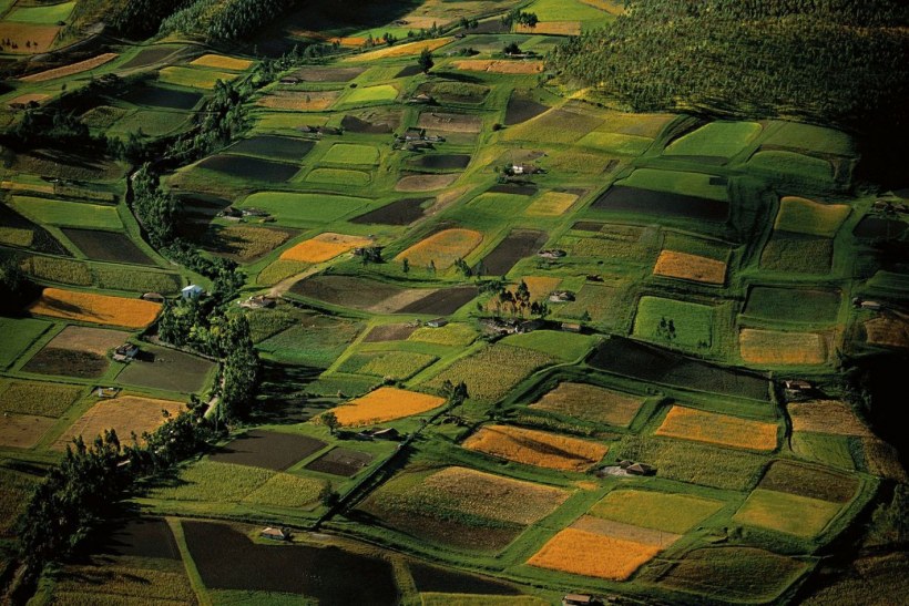 Ян Артюс Бертран дом