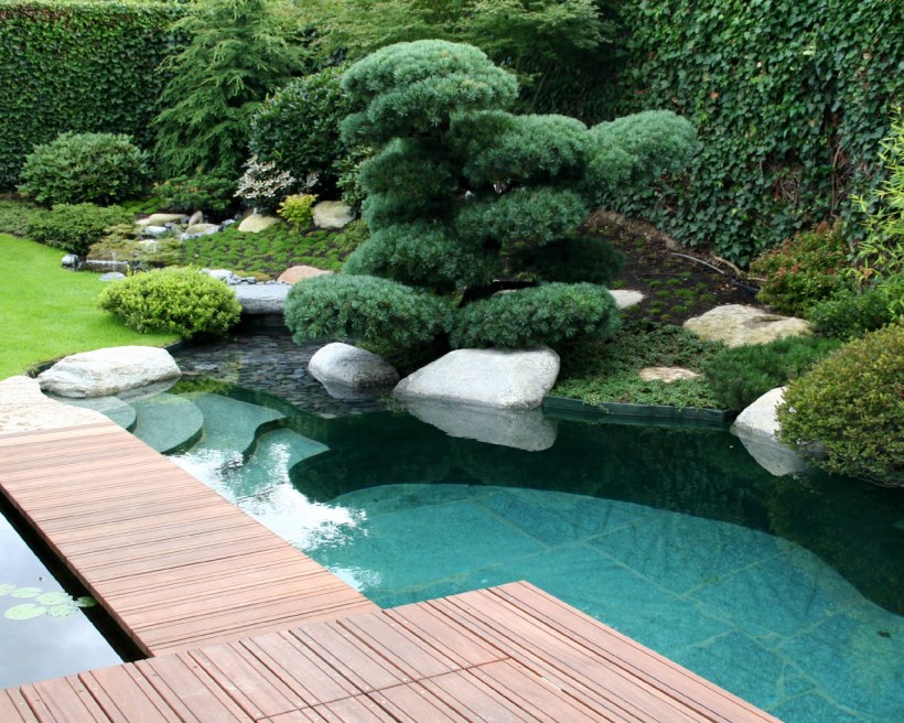 Современный японский сад