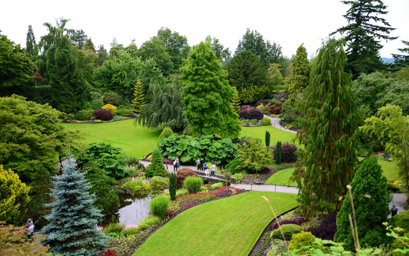 Сад Яна сламы коллекция растений