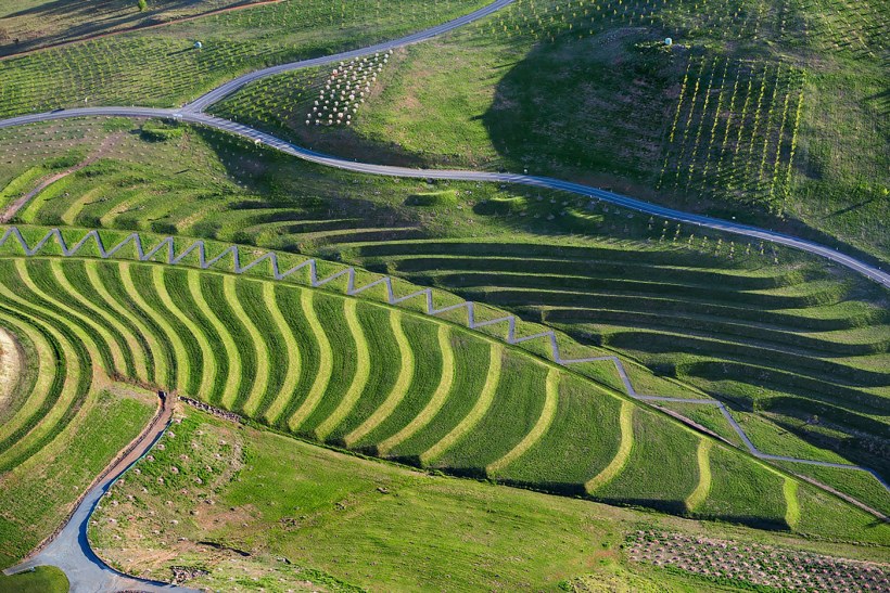 Андрогенный ландшафт