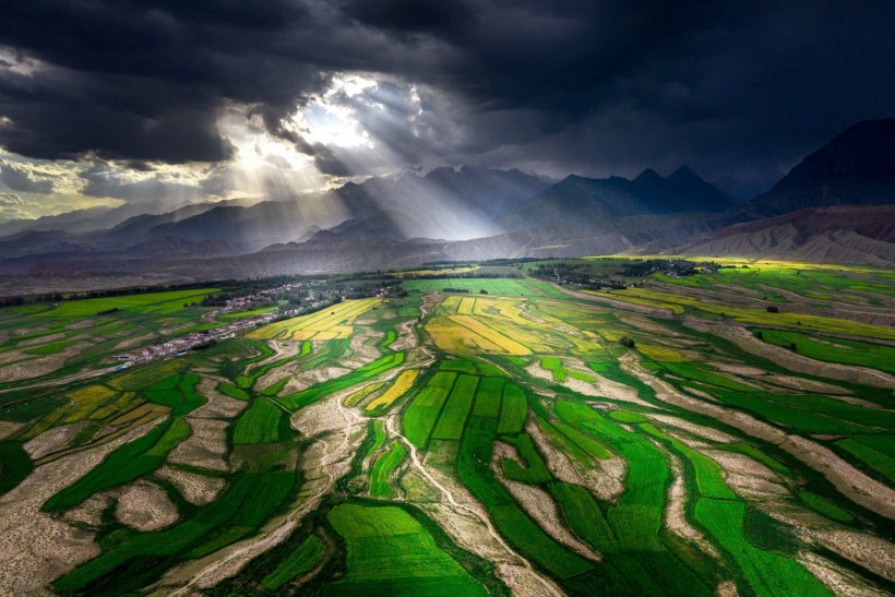 Джалал-Абад рисовые поля