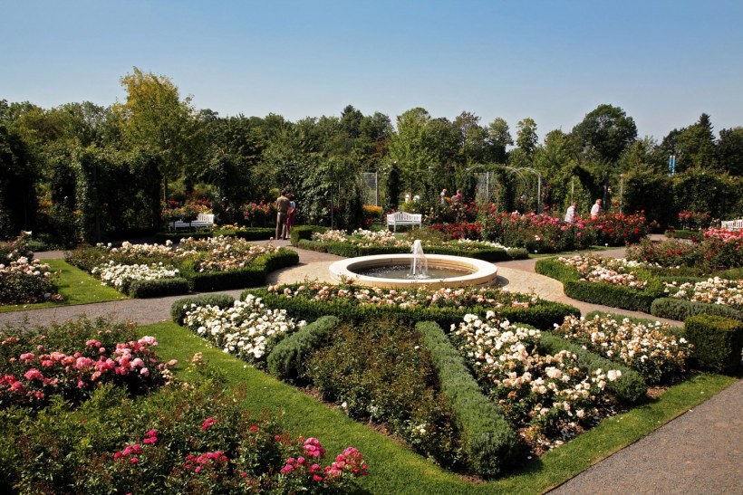 Ботанический сад ТНУ Симферополь