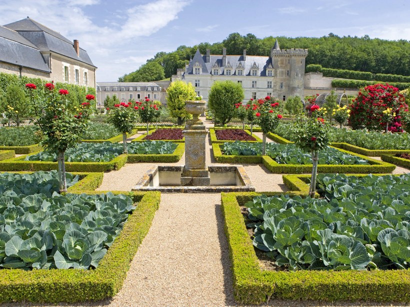 Сад Вилландри Аптекарский сад