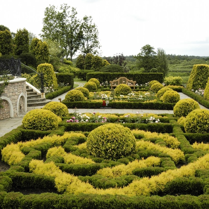 Топиарное искусство Версаль Франция