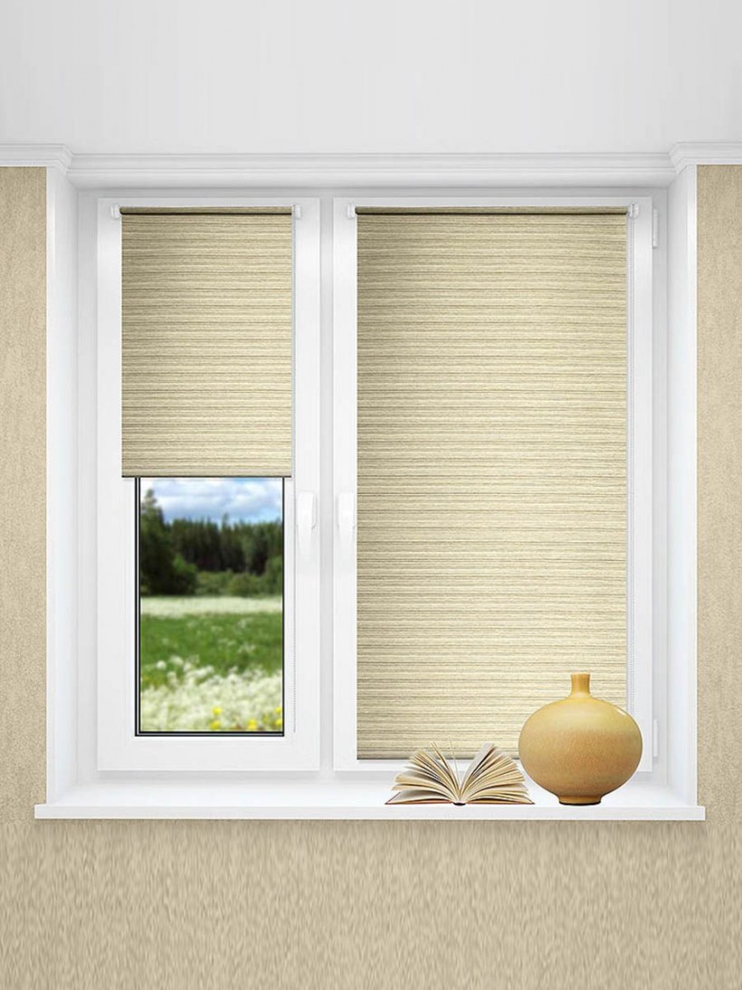 Рулонные шторы Дельфа