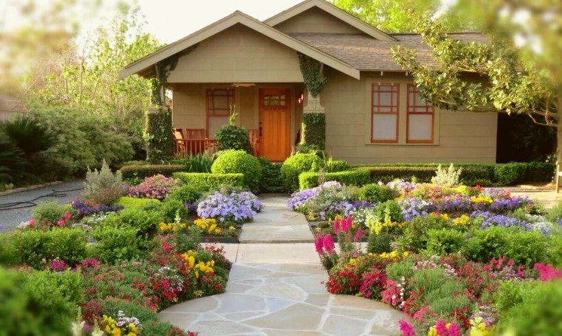 Газон мавританский дворик