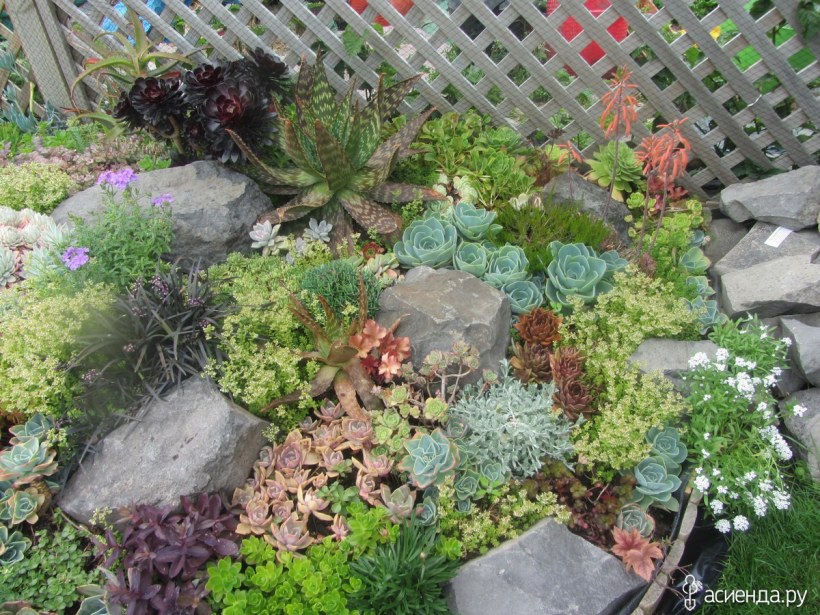 Альпийская горка в ДОУ на участке