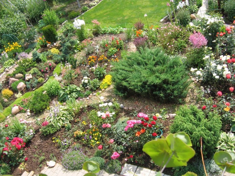 Розарий ландшафт Альпийская горка