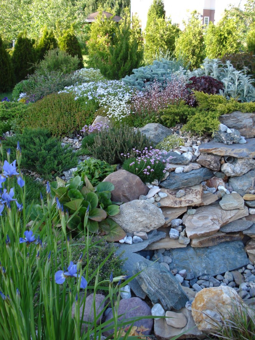 Альпинарий рокарий с лилиями сухой ручей