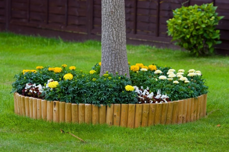 Клумба в приствольном круге