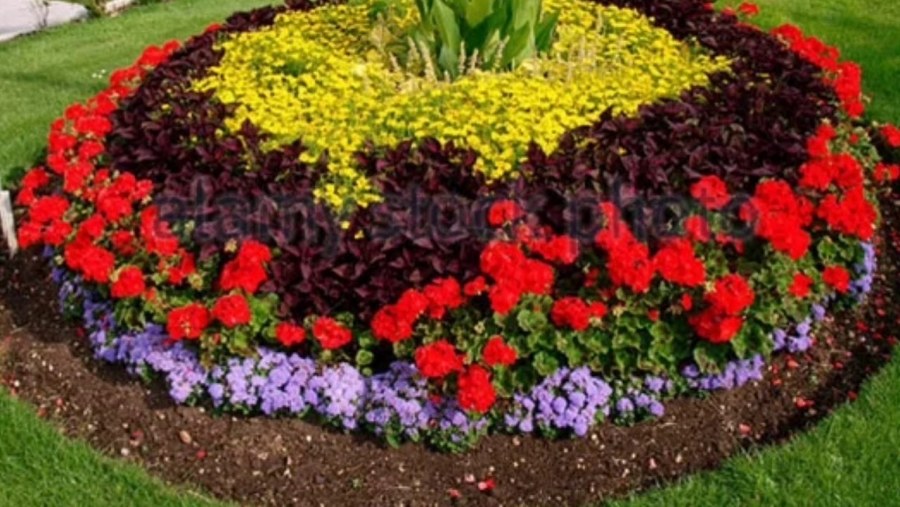 Круглая клумба с цветами