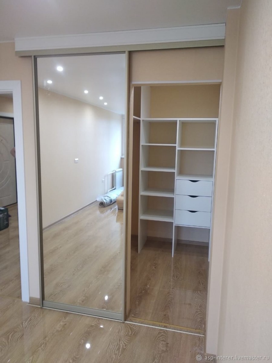 Зеркальная дверь в гардеробную