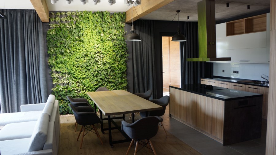 Фитостена на кухне