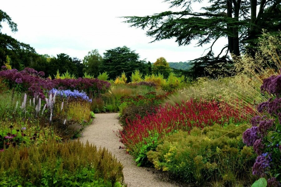 Сады пита Удольфа планы