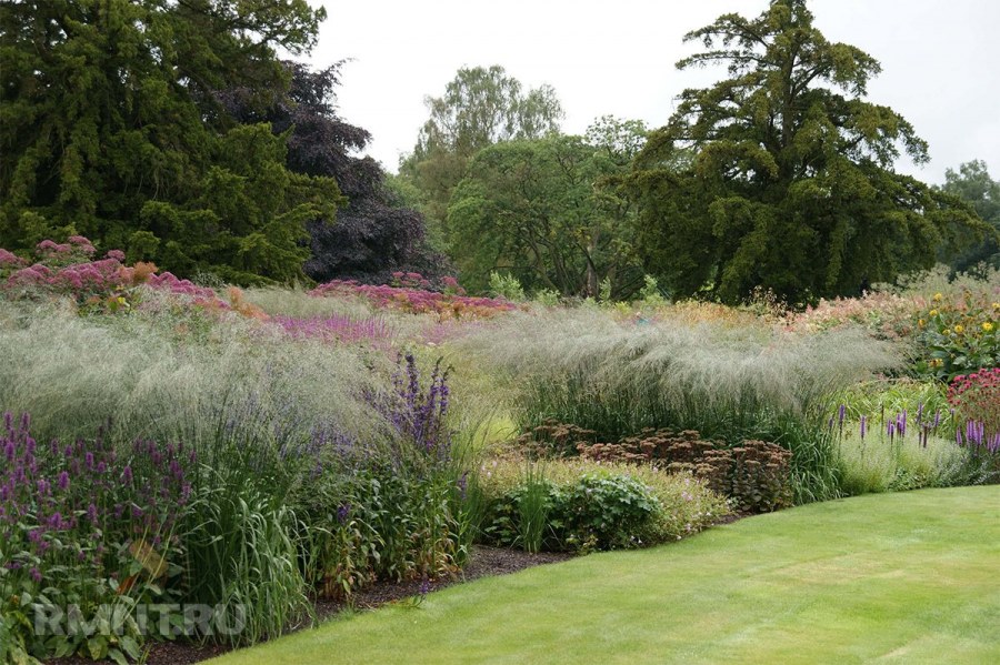 Пит Удольф ландшафт