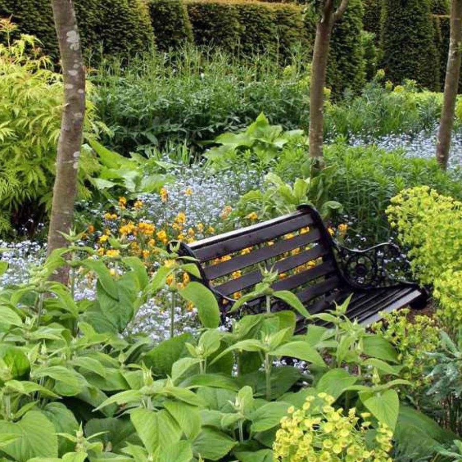 Лесной сад натургарден