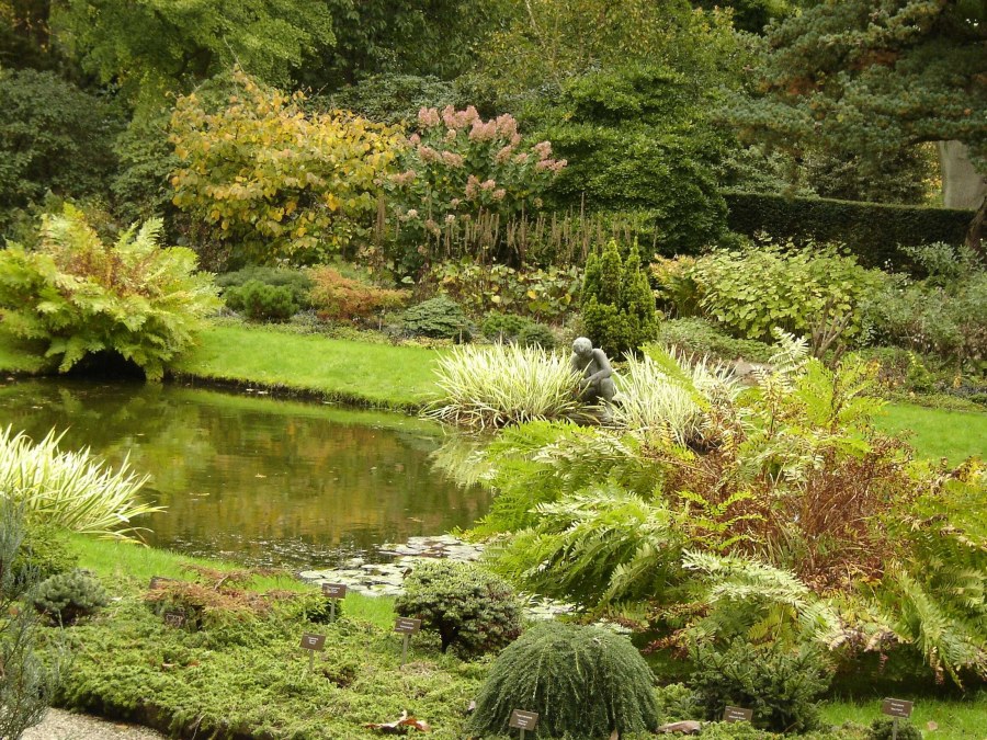 Дендрологический парк Тромпенбург