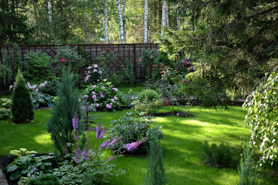 Ландшафт натургарден