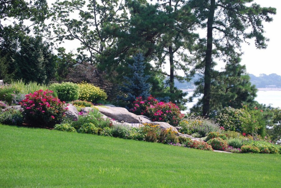 Лесной сад натургарден