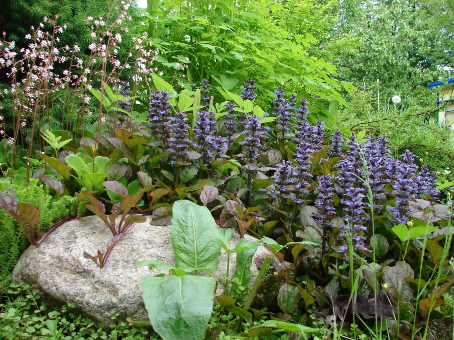 Ландшафт натургарден