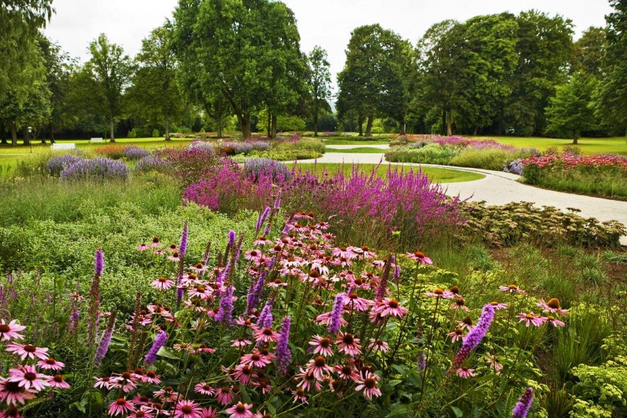 Голландский ландшафтный дизайнер пит Удольф