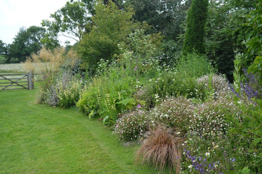 Миксбордер в стиле натургарден