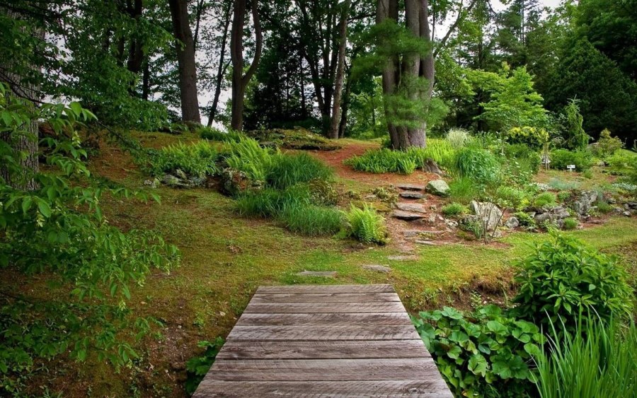 Ландшафт в стиле натургарден