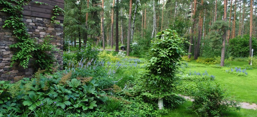 Ландшафт в стиле натургарден
