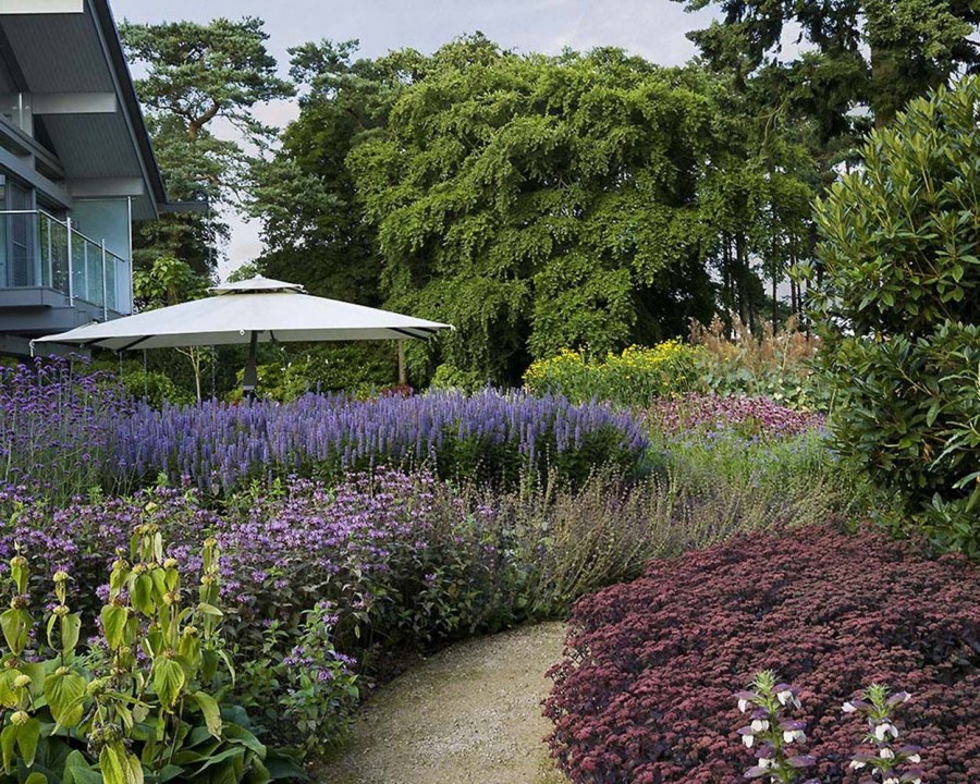 Кеннеди Макрэ ландшафтный дизайнер