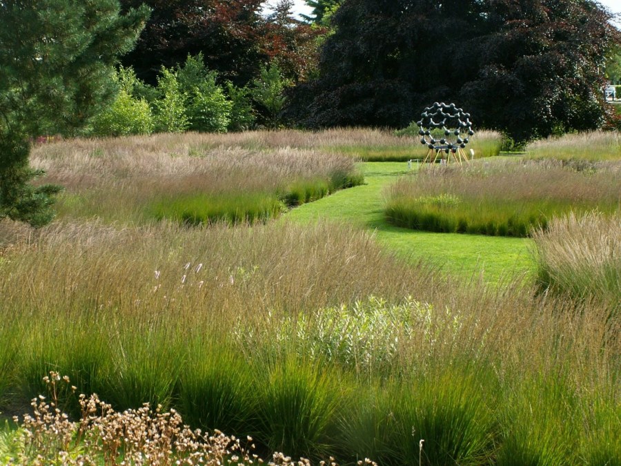 Злаковые цветники пита Удольфа