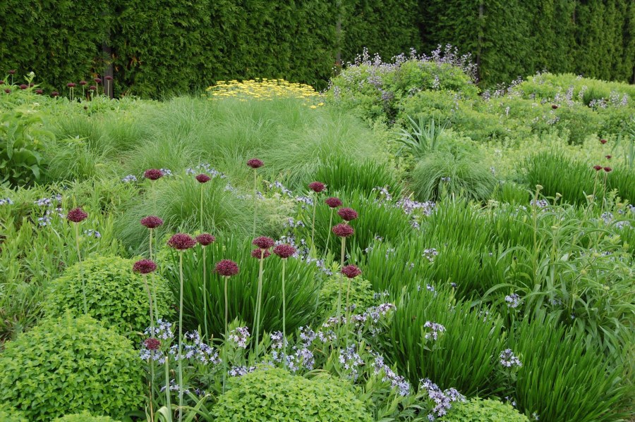 Пит Удольф натургарден